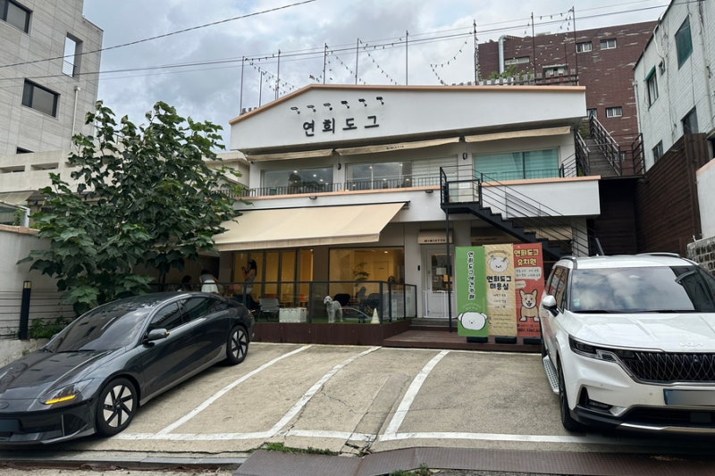 사진 6