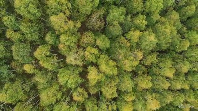  수산물품질관리사 ,