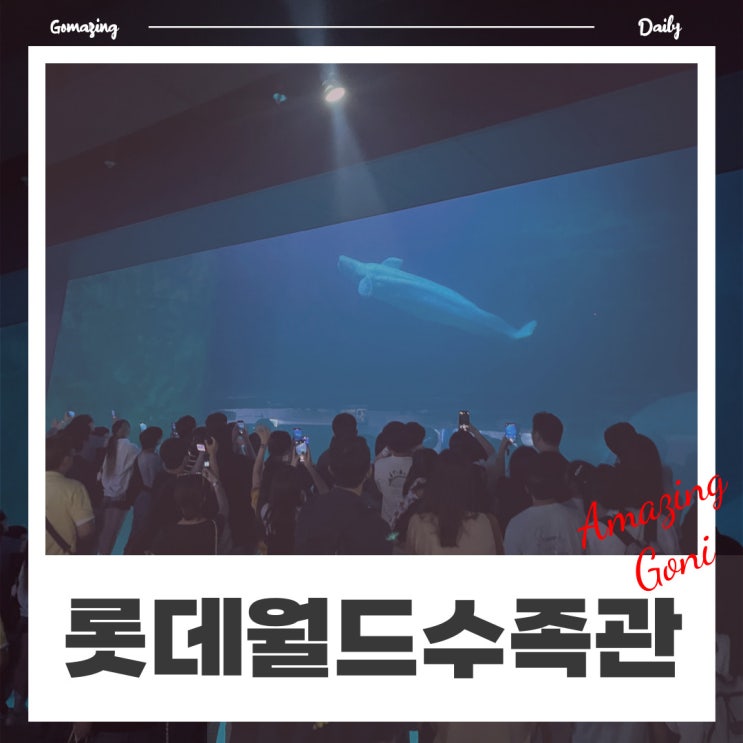 얼마남지 않은 썸머나이트권(14,000원)으로 잠실수족관 롯데월드 아쿠아리움 데이트 다녀왔어요! (feat. 벨루가) 얼마남지 않은 썸머나이트권(14,000원)으로 잠실수족관 롯데월드 아쿠아리움 데이트 다녀왔어요! (feat. 벨루가)