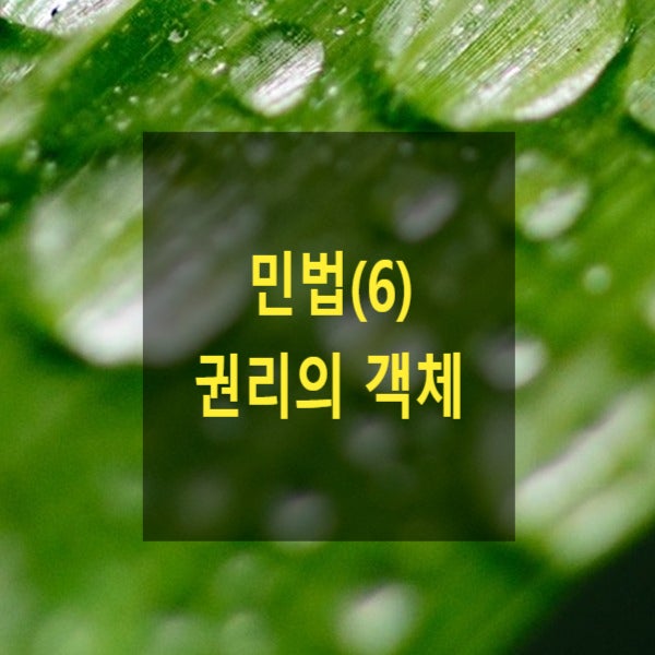 핵심만 알아보는 민법(6) - 권리의 객체(물건, 동산, 부동산, 주물, 종물, 원물, 과실)