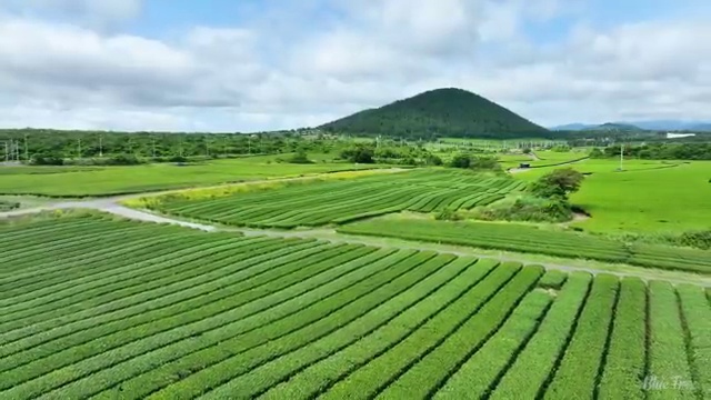  학점은행제 산업기사 경력없는 고졸도 온라인 원격 평생교육원에서 손쉽게 성공한 비법