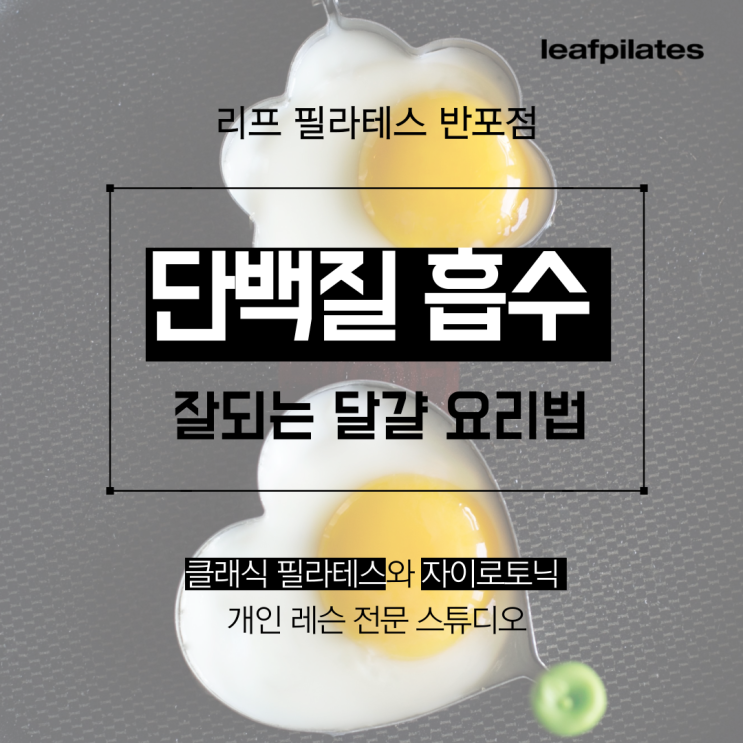  [반포 필라테스] 단백질 흡수가 잘되는 달걀 요리법/ 반포필라테스 리프