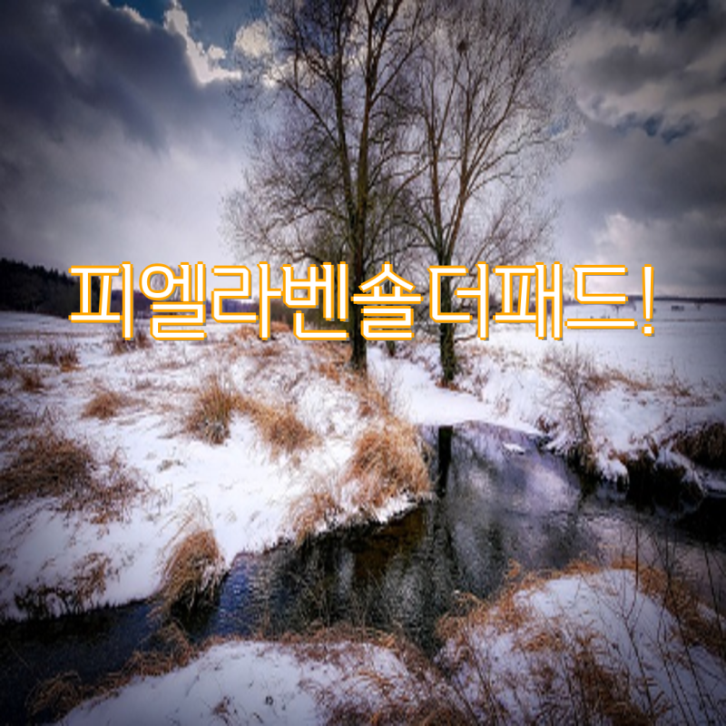 피엘라벤 숄더패드| 칸켄, 하이 코스트 토트백 등 인기 백팩 부품 & 활용 가이드 | 피엘라벤, ....