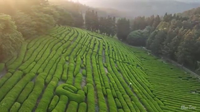  아산 사회복지사취업 ? 사회복지사2급 중년 직장인도 학점은행제로 편하게