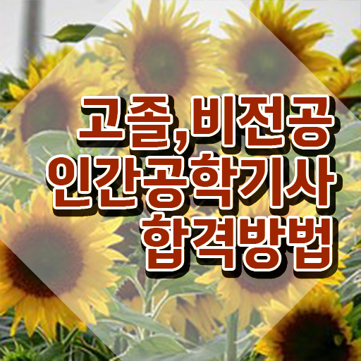  인간공학기사 응시자격 인간공학기사 응시조건 집에서 온라인으로 4달 안에 준비한 팁
