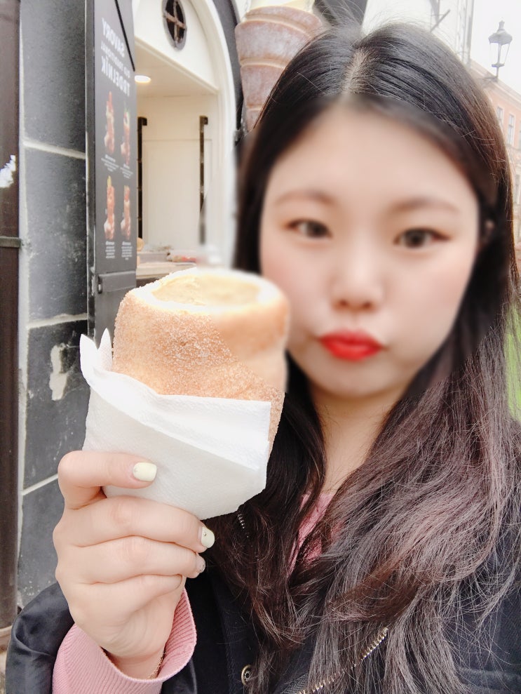  수수의 유럽 : 체코 (프라하, 체스키크롬로프)