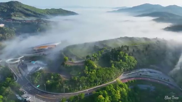  사회복지사실습과제 사회복지사 중년 직장인도 독학으로 빠르게