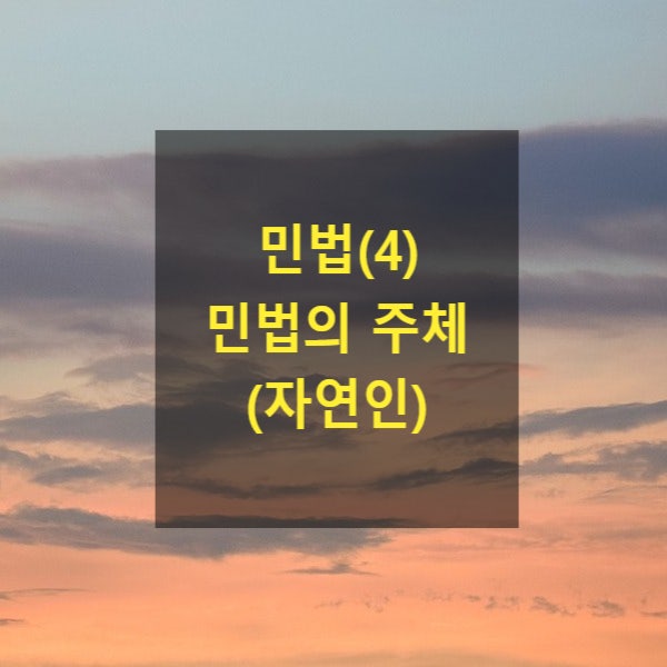  핵심만 알아보는 민법(4) - 민법의 주체,자연인(태아, 미성년자, 피성년후견인, 피한정후견인, 피특정후견인, 의사무능력, 인정사망, 동시사망의추정, 대리인, 부재, 실종)