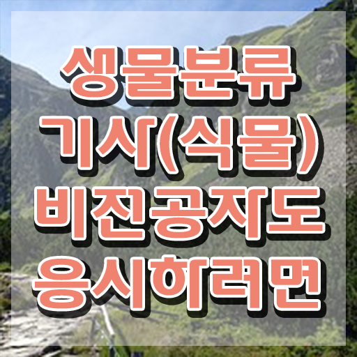  생물분류기사(식물) 시험시간 생물분류기사(식물) 시험응시조건 독학으로 간단하게 완료한 후기