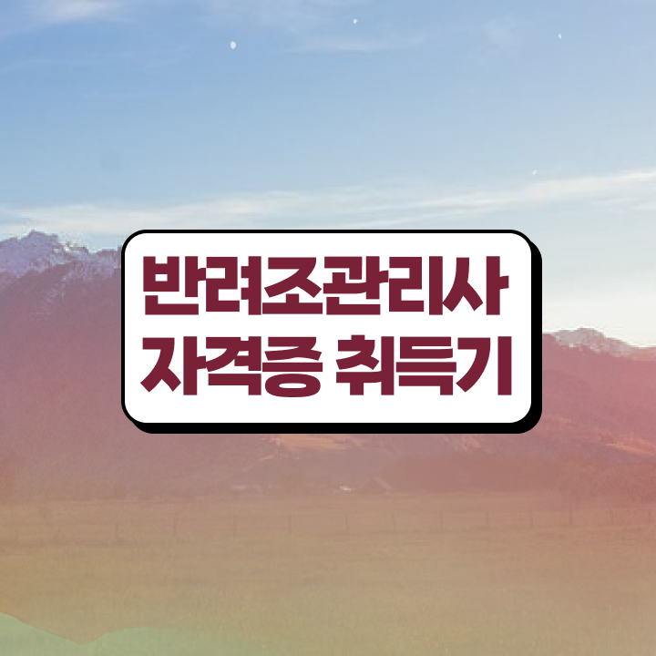  , 반려조관리사 자격증 단기간에 준비한 방법 및 전망