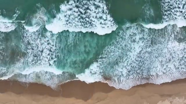  청주 사회복지공무원독학 . 사회복지사2급 직장인도 학점은행제 활용하여 쉽고 빠르게
