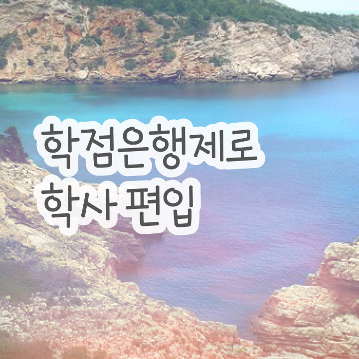  학점은행제 인정자격증 , 전문학습멘토 이 부분은 확실하게 결정하세요