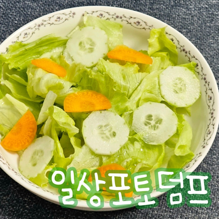  식단 닭가슴살 뭐가 좋지 탐구생활 - 블로그 챌린지 일상 포토덤프