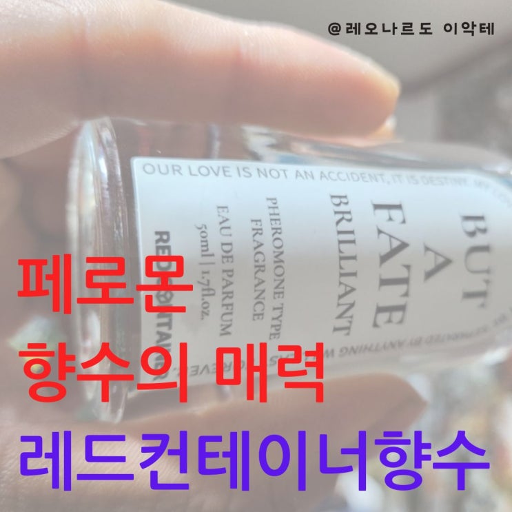 페로몬 향수의 매력 레드컨테이너향수 사용 후기와 추천