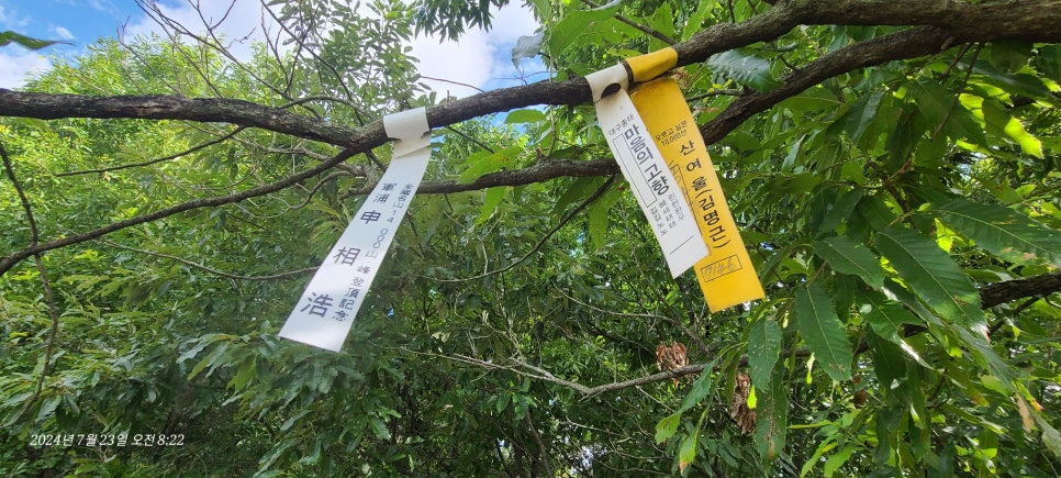 밤말산 사진 6