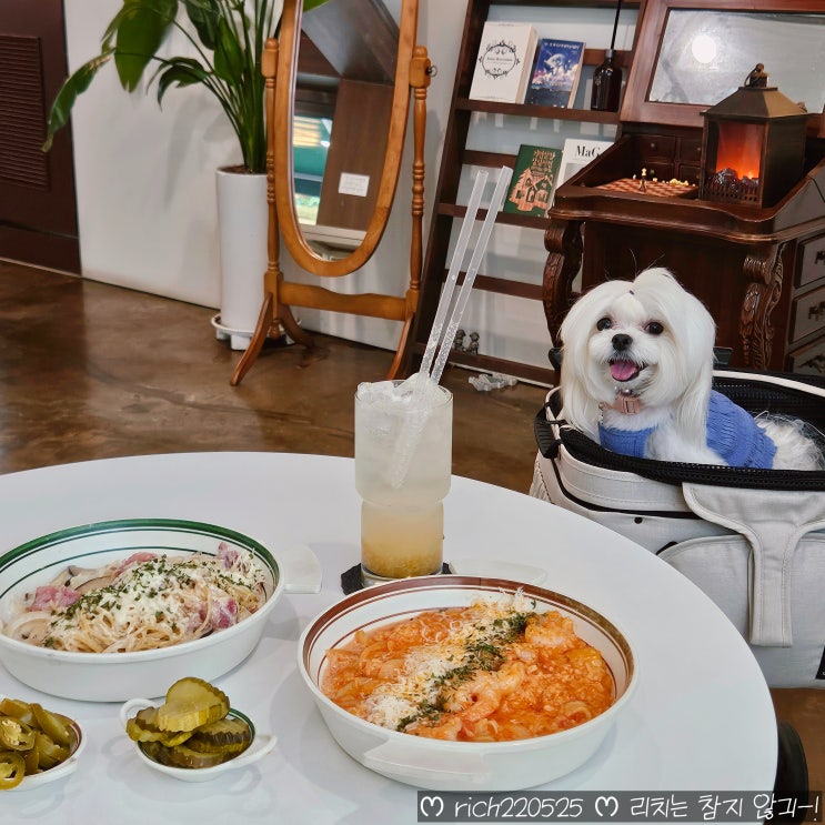  연수구 옥련동맛집 애견동반식당 30.0coffee 반려견동반카페 후기