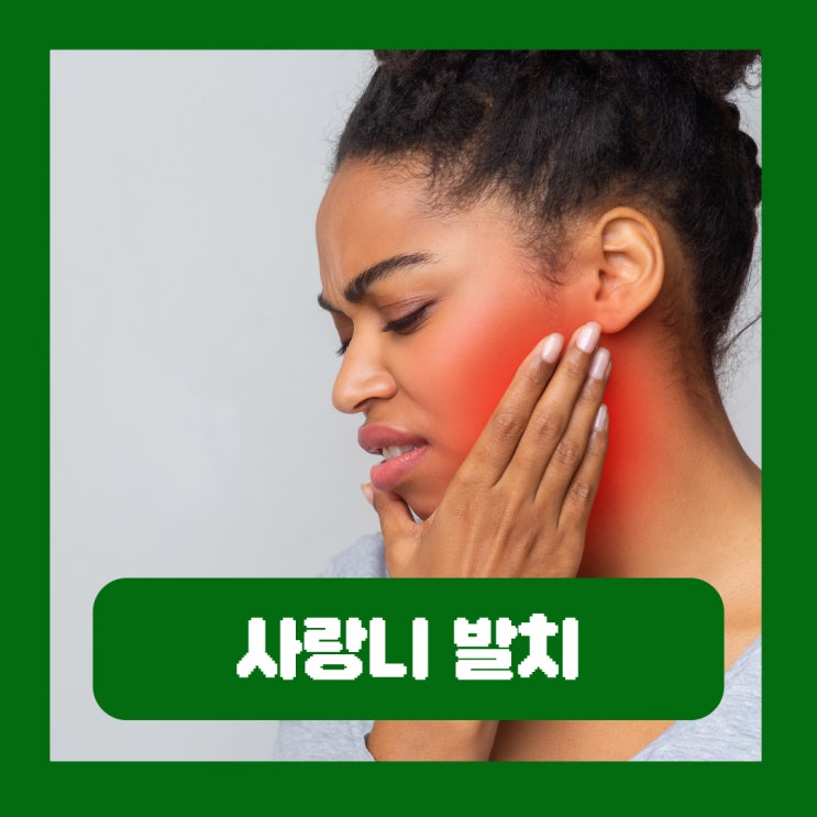  사랑니 발치 후 식사 시간 음식 메뉴 운동 음주 흡연 금지 주의사항