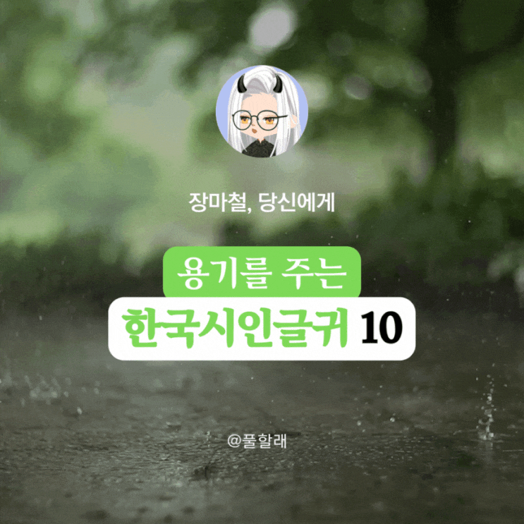  장마철, 당신에게 용기를 주는 한국 시인의 글귀 10선(네이버 스페셜 포토덤프 ep.5)