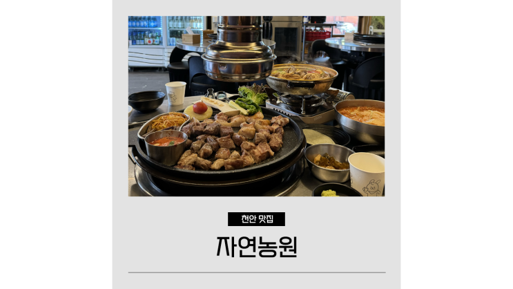 천안 점심 맛집 노포감성 고기집 가볼만한곳 봉명동 자연농원 천안 점심 맛집 노포감성 고기집 가볼만한곳 봉명동 자연농원