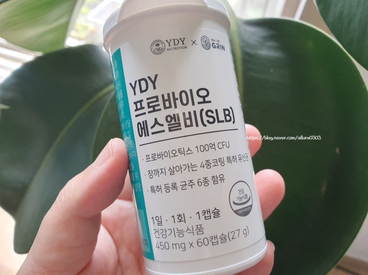  장 유산균 추천! YDY 프로바이오 에스엘비 약들약유산균 장유산균