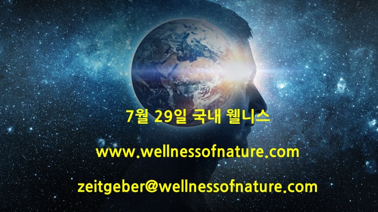  2024년 7월 29일 국내 웰니스 소식