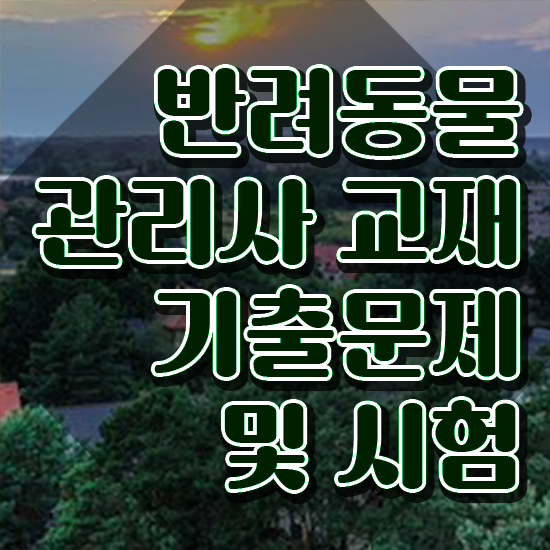  반려견조련사 , 반려동물관리사 자격증 쉽고 간편하게 준비한 방법 알아보기