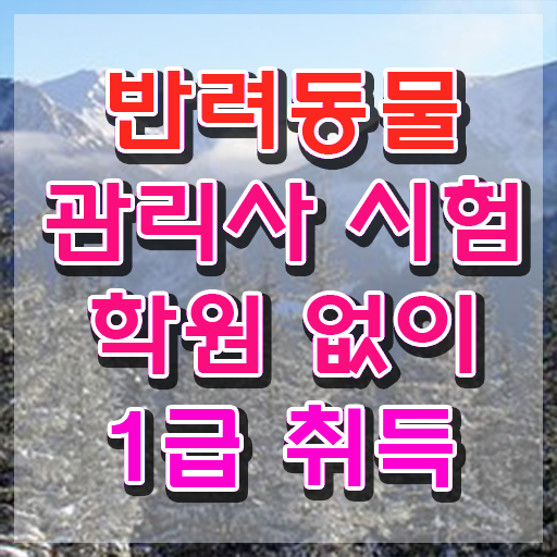  대전반려동물의료비지원 , 반려동물관리사 자격증 학습한 후기 알아볼게요