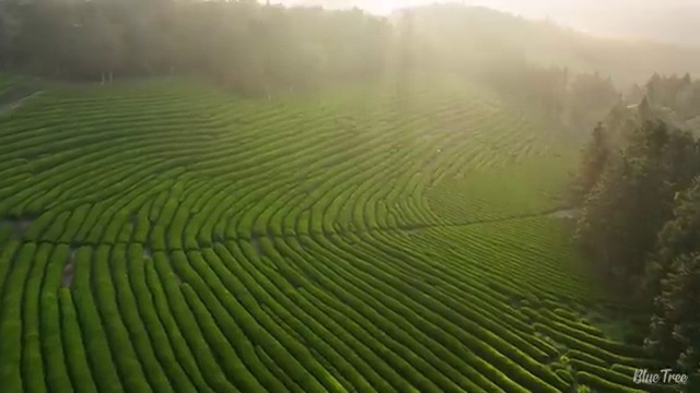  사이버대사회복지사 . 사회복지사 고졸자도 학점은행제 활용하여 손쉽게