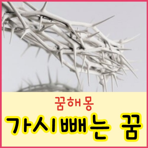 가시꿈 가시빼는 꿈 가시 찔리는 꿈 해몽