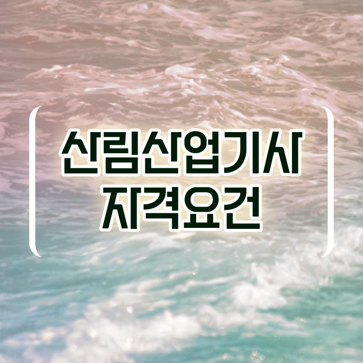  산림산업기사 필기 기간 산림산업기사 자격요건 온라인 수업으로 4달만에 완료한 과정