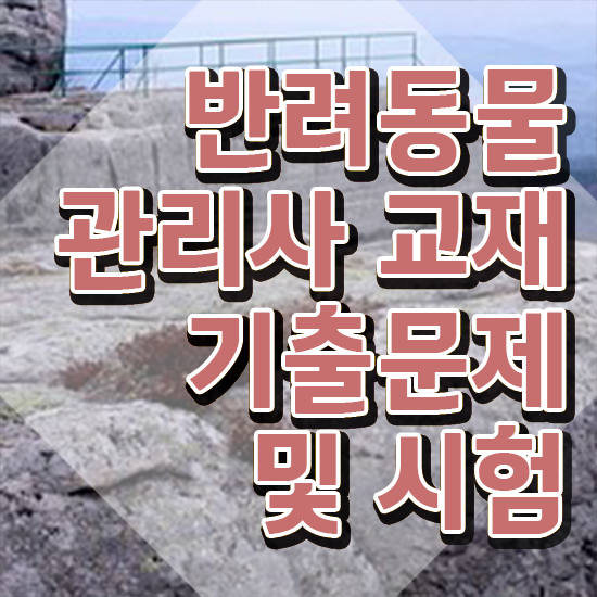  대구 강아지 훈련사 , 반려동물관리사 자격증 2주 만에 시험준비 , 이후 전망