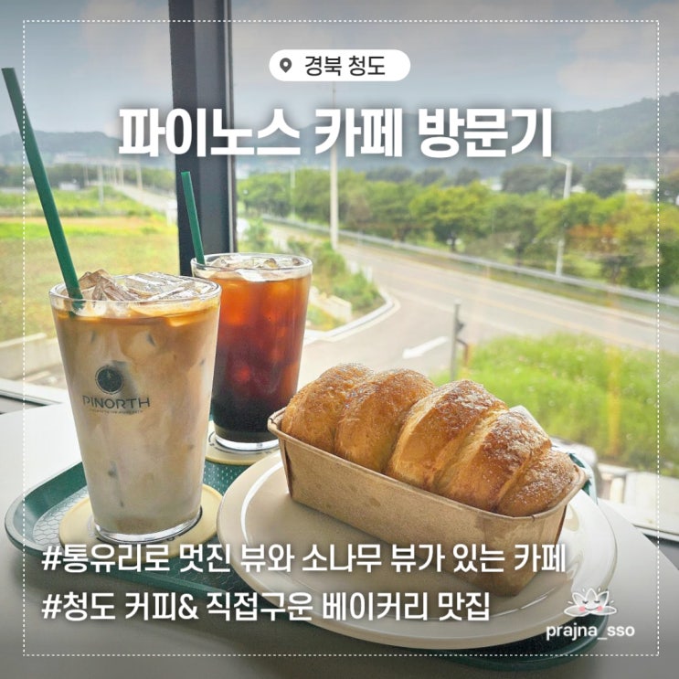  청도 대형카페 파이노스 커피가 맛있는 베이커리카페 방문기