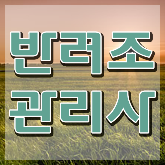  왕관 앵무새 키우기 , 반려조관리사 자격증 준비한 방법 요약해봤어요