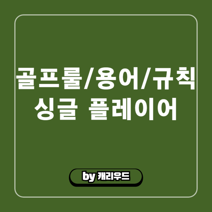  골프 용어 싱글 플레이어 타수 기준 뜻 경기 규칙