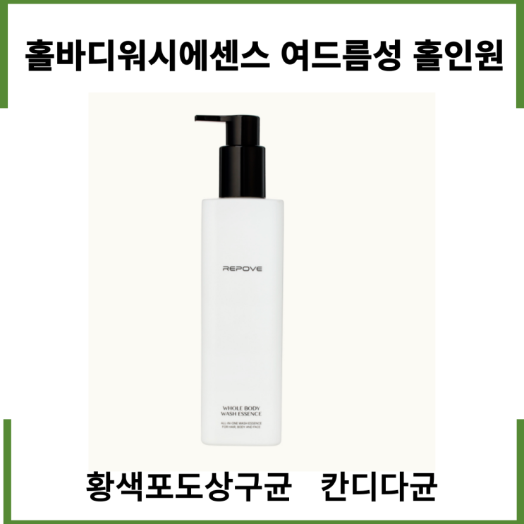  홀바디워시에센스 여드름성 홀인원