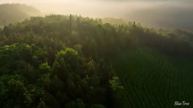  수원꽃꽂이원데이클래스 , 플로리스트 자격증 2주 만에 취득한 정보 , 구직정보