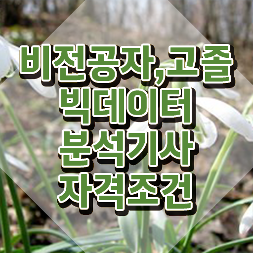  빅데이터 분석 기사응시자격 빅데이터분석기사 취득자격 인강으로 간편하게 준비한 전략