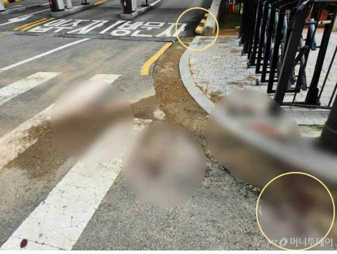 어떡하라고" <b>유족</b> 울분…자상했던 아빠, 은평구 아파트 <b>일본도</b>... 