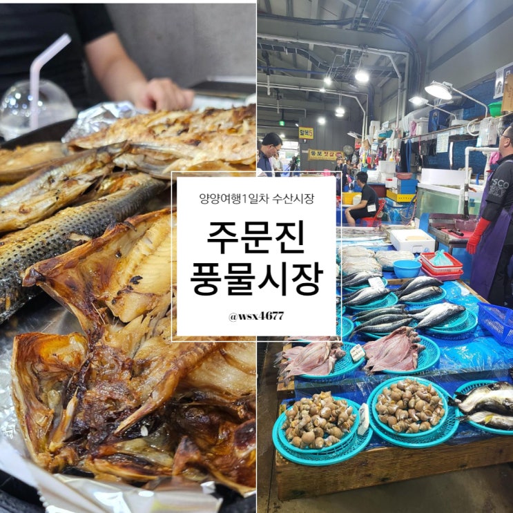  주문진수산시장::펜션 여행가기 전에 회뜨고 점심을 먹어보자!
