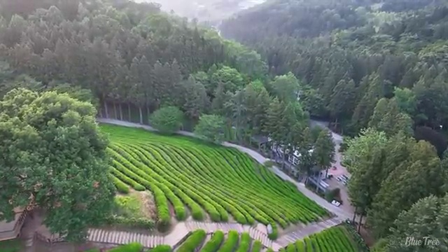  김포 2급사회복지사온라인 , 사회복지사2급 관련학위 없어도 학은제로 수월하게