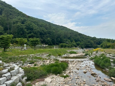 사진 3