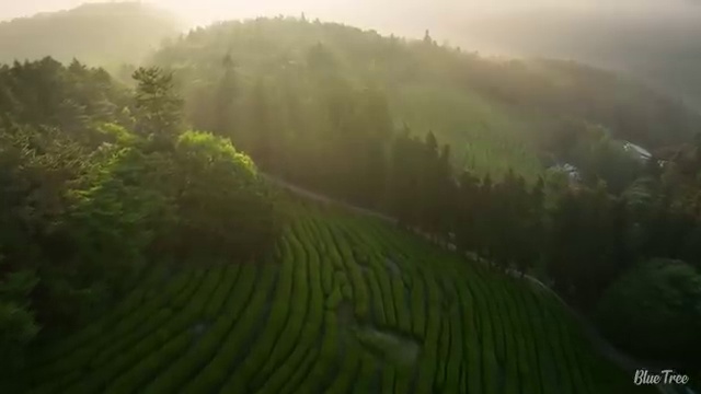  40대주부자격증 , 부동산권리분석사 온라인 교육원 통해서 완료한 전략