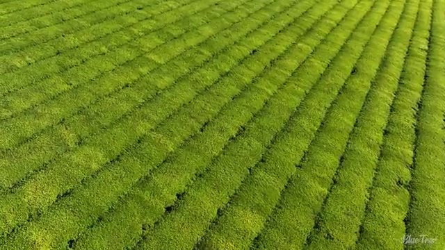  전주 사회복지사취득 ~ 사회복지사2급 대학진학없이 학은제 활용하여 간단하게