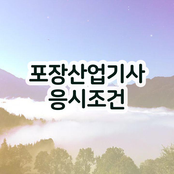  포장산업기사 응시조건 학점은행제로 반 년만에 준비한 방법
