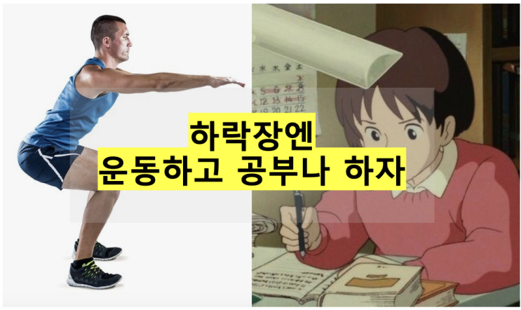  [투자생각] 하락장엔 운동하고 공부나 하자요