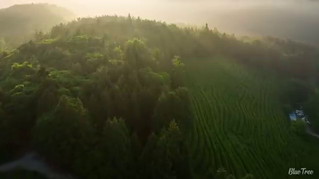  학점은행제미용 전문학사 , 학점은행제전문학사 경력없는 사람도 인강만으로 단기간에 완료한 꿀팁 모음