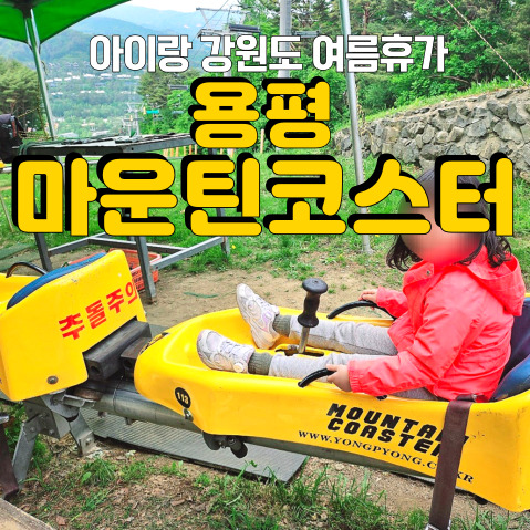  2024 여름휴가! 아이랑 강원도 여행 갈만한 곳 추천 <용평 마운틴코스터>
