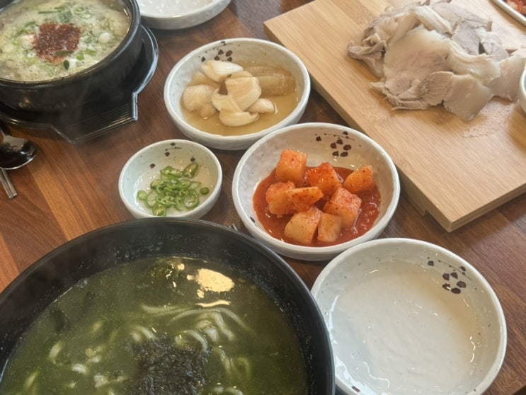  제주 서귀포 중문보말칼국수 논짓물 내돈내산 맛집