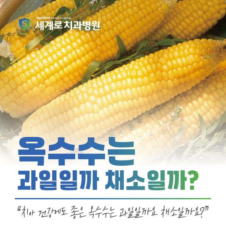  옥수수는 과일?채소? 치아 건강에 좋은 음식!