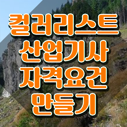  컬러리스트 산업기사 요약 컬러리스트산업기사 취득자격 온라인 수업으로 1학기에 끝낸 비법